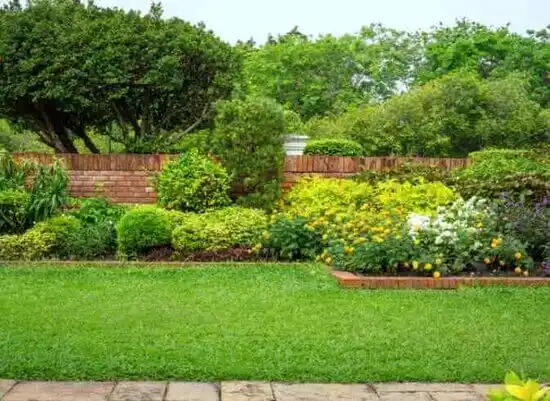 landscaping services Morganville